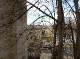 Avignon15.jpg